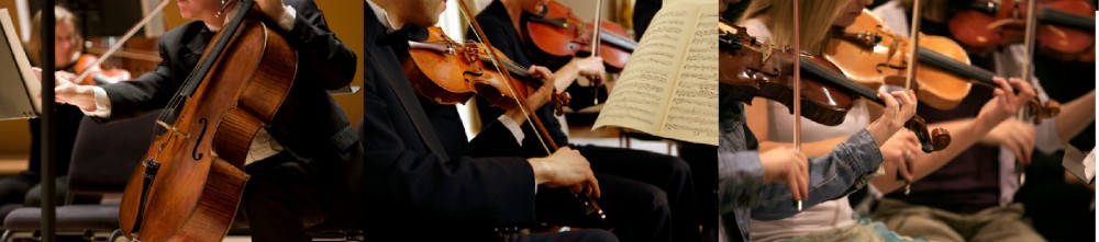 http://south-liverpool-orchestra.co.uk